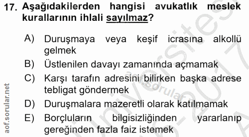 Soru 17