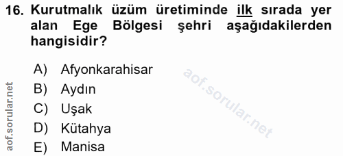 Soru 16