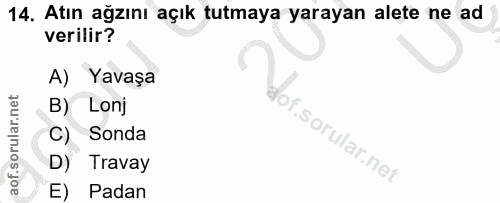 Soru 14