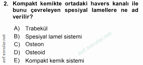 Soru 2