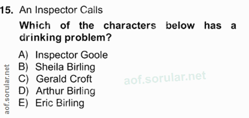 Soru 15