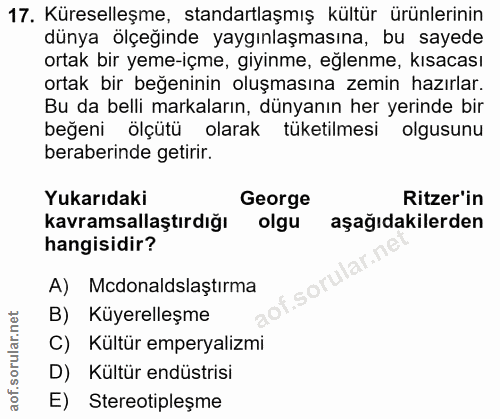 Soru 17