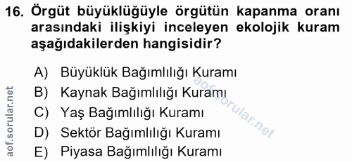Soru 16