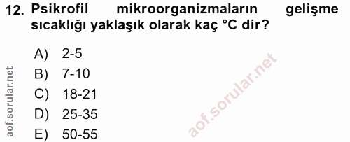 Soru 12