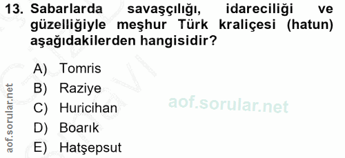 Soru 13