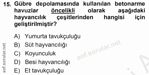 Soru 15