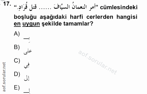 Soru 17