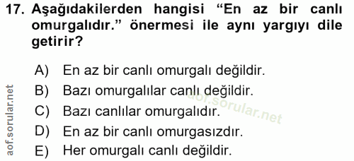 Soru 17