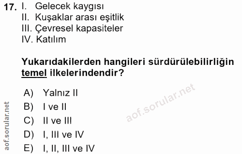 Soru 17