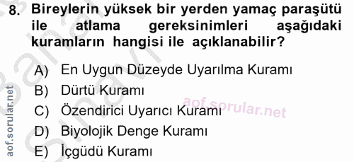 Soru 8