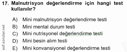 Soru 17