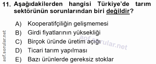 Soru 11
