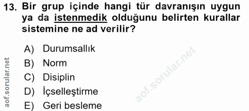 Soru 13