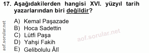 Soru 17