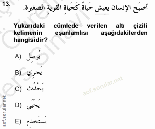 Soru 13