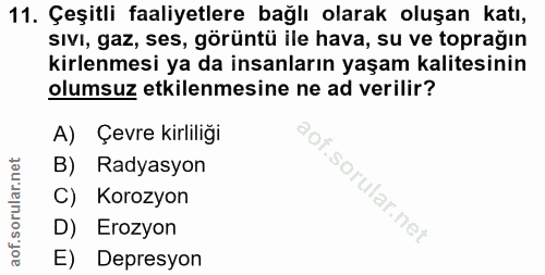 Soru 11