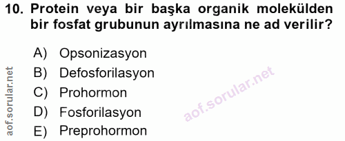 Soru 10