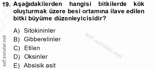 Soru 19