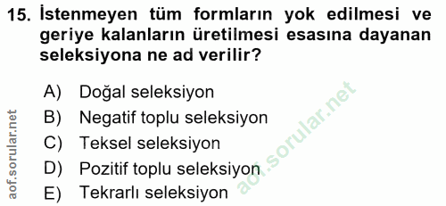 Soru 15