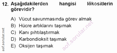 Soru 12