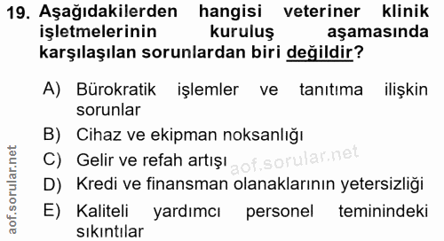 Soru 19