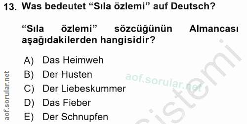 Soru 13