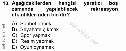 Soru 13
