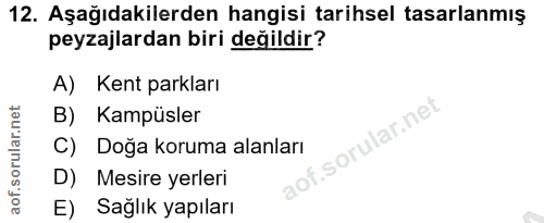 Soru 12