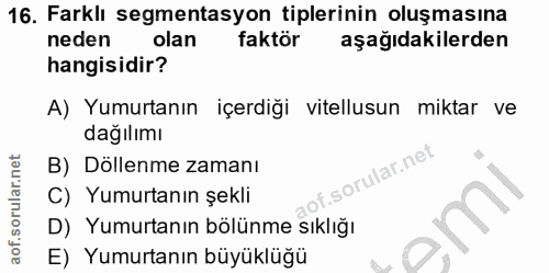 Soru 16