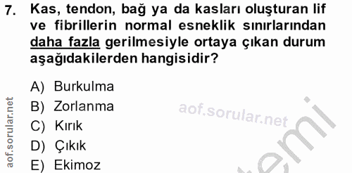 Soru 7