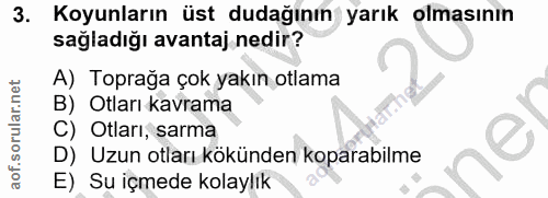 Soru 3