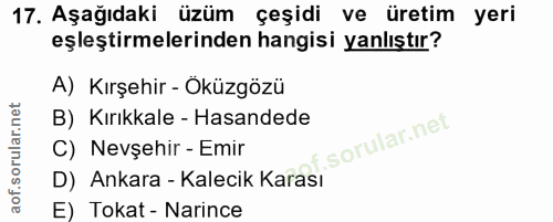 Soru 17