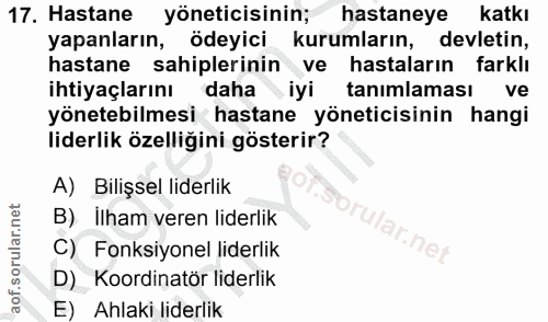 Soru 17