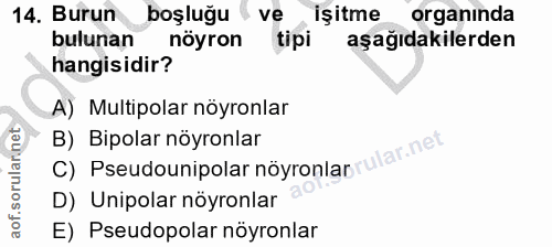 Soru 14