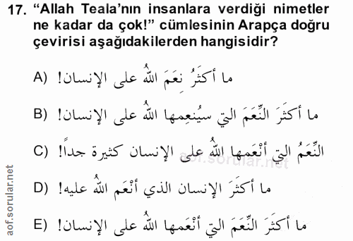 Soru 17