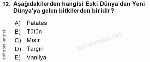 Soru 12