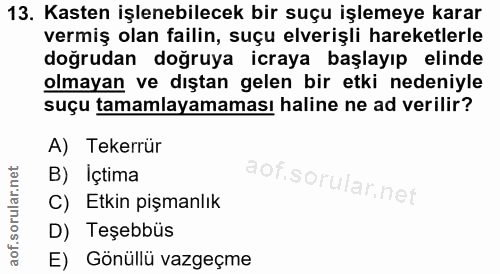 Soru 13
