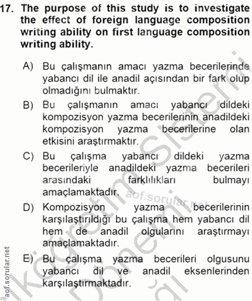 Soru 17