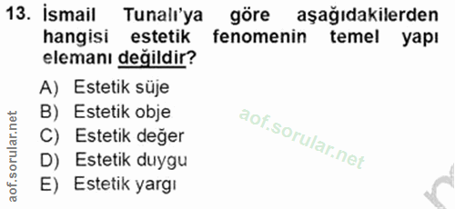 Soru 13