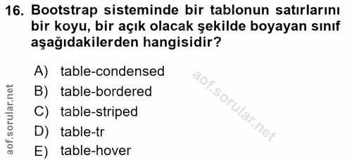 Soru 16