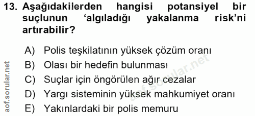 Soru 13