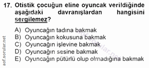 Soru 17