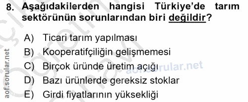 Soru 8