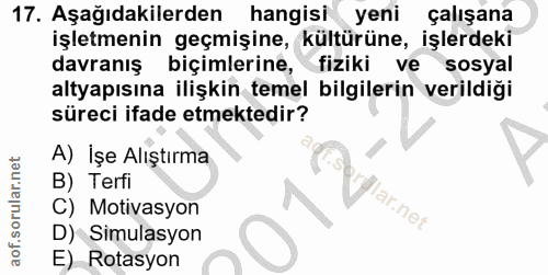 Soru 17