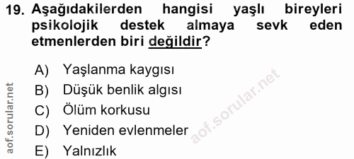 Soru 19