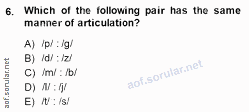 Soru 6