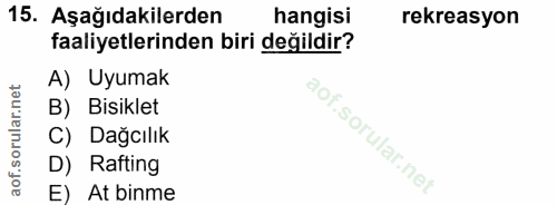 Soru 15