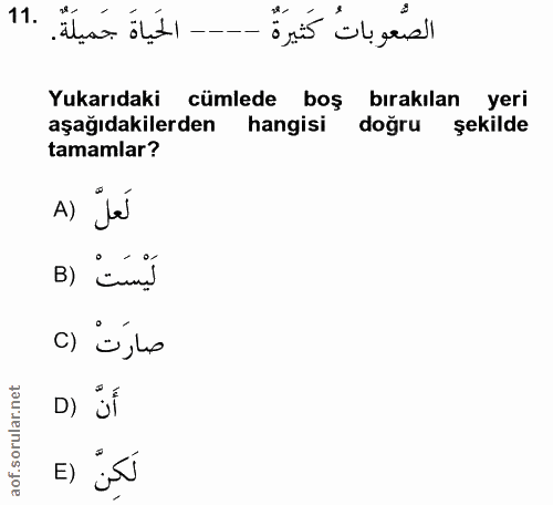 Soru 11