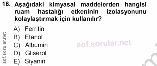 Soru 16