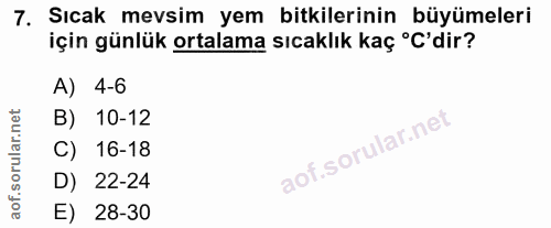 Soru 7